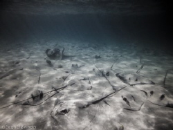 The Gang's All Here by Sean Steininger 